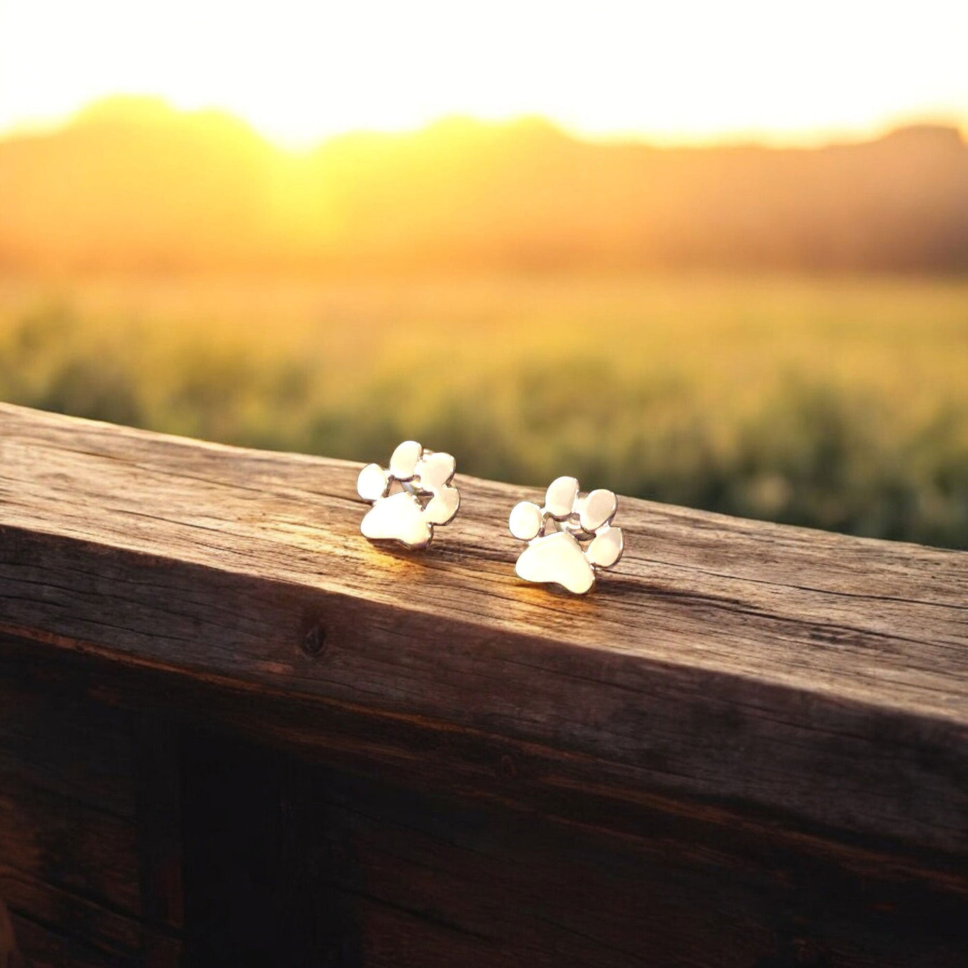 Guadalupe | Stainless steel earrings for every occasion