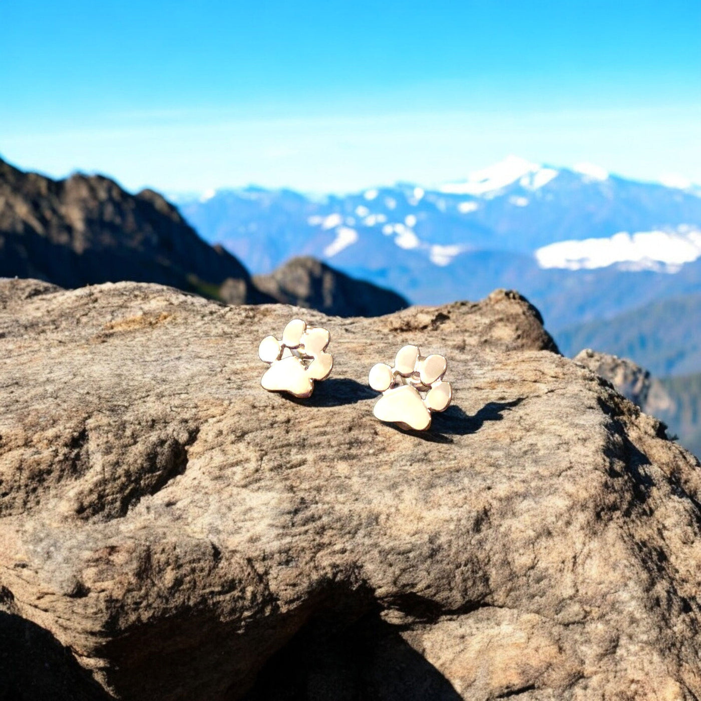 Guadalupe | Stainless steel earrings for every occasion